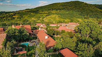 Casa Dives, Transylvania
