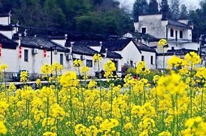 Huangshan Xishan Wutongqinyuan