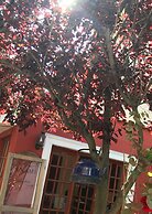 Anami Hotel Boutique