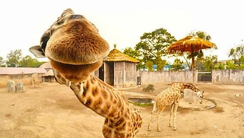 Hostal Villa Toscana