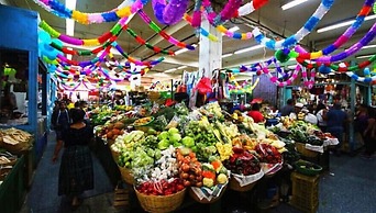 Hostal Villa Toscana