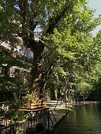 Yuvarlakcay Cinar Butik Otel