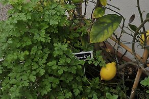 B&B V&V Suite & Breakfast