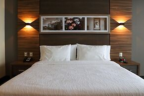 Hilton Garden Inn Aguascalientes