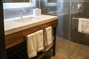 Hilton Garden Inn Aguascalientes