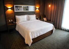 Hilton Garden Inn Aguascalientes