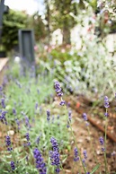 Hotel Loretta & Dependance