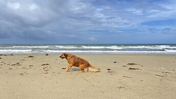 Footprints Beach Resort