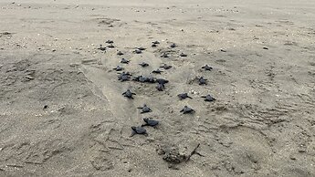 Footprints Beach Resort
