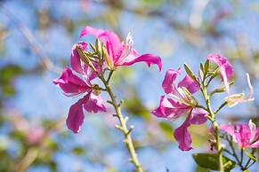 Mira Montra Resort Koh Mak