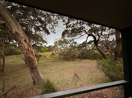 Bimbi Park - Camping Under Koala