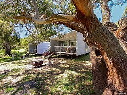 Bimbi Park - Camping Under Koala