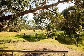 Bimbi Park - Camping Under Koala