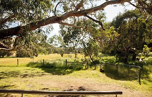 Bimbi Park - Camping Under Koala