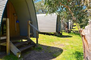 Bimbi Park - Camping Under Koala