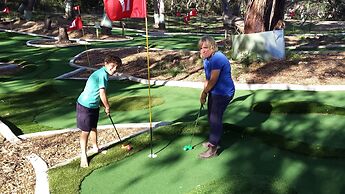 Bimbi Park - Camping Under Koala