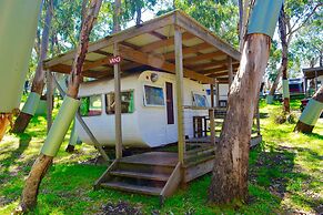 Bimbi Park - Camping Under Koala