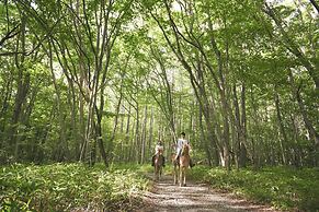 Hoshino Resorts RISONARE Yatsugatake
