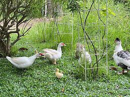 Baan Pingkan Wellness Resort