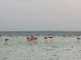 La Diosa Kali Beach Front Hotel