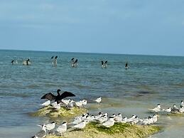 La Diosa Kali Beach Front Hotel