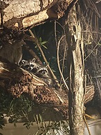 La Diosa Kali Beach Front Hotel