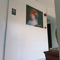 The Strand Suites and Dormitel