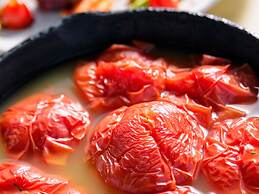 The Sense of Wonder Holistic Glamping