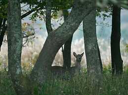 The Sense of Wonder Holistic Glamping