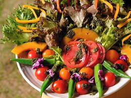 The Sense of Wonder Holistic Glamping