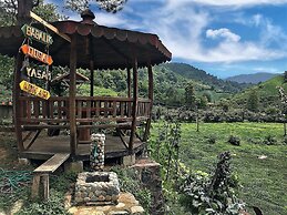 Babalik Dogal Yasam Konagi