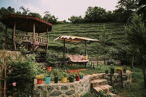 Babalik Dogal Yasam Konagi