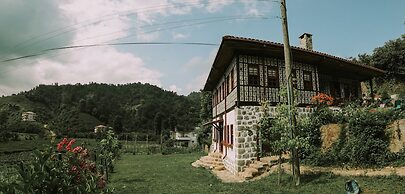 Babalik Dogal Yasam Konagi