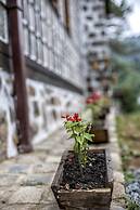 Babalik Dogal Yasam Konagi