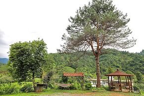 Babalik Dogal Yasam Konagi