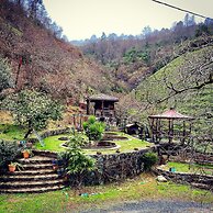 Babalik Dogal Yasam Konagi