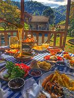 Babalik Dogal Yasam Konagi