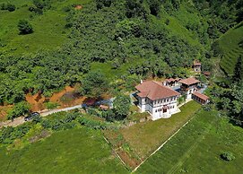 Babalik Dogal Yasam Konagi