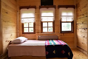 Babalik Dogal Yasam Konagi