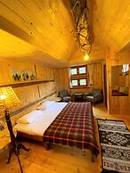 Babalik Dogal Yasam Konagi