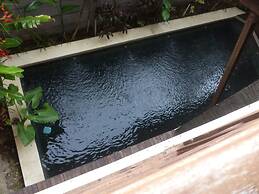 Intan Legian Seminyak Villa