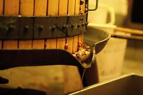 Fattoria Gambaro di Petrognano