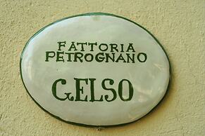 Fattoria Gambaro di Petrognano
