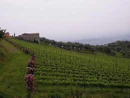 Fattoria Gambaro di Petrognano