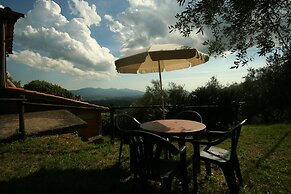 Fattoria Gambaro di Petrognano