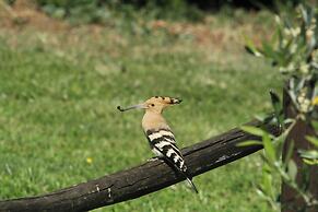 Fattoria Gambaro di Petrognano