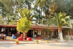 Medusa Bar & Camping - Hostel