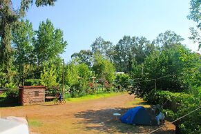 Medusa Bar & Camping - Hostel