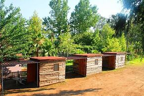 Medusa Bar & Camping - Hostel