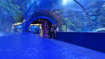 White Cat Sevgi Otel